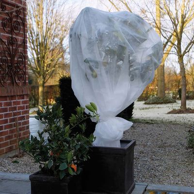 Natur Natur Winter Cover 30 g m² 2x5 m Weiß