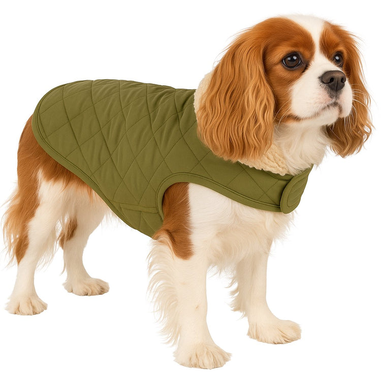 Flamingo-Hundemantel – Bonnie – Hundemantel – Winter-Hundejacken – wasserdichter Hundemantel – 40 cm – A: 40 cm, B: 34–40 cm, C: 54–60 cm – grün