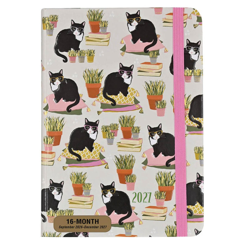 Comello-Agenda – 2027 – kompakt – 16 Monate – hübsche Katzen – 12,7 x 17,8 cm