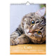 Comello-Katzen-Geburtstagskalender – A4
