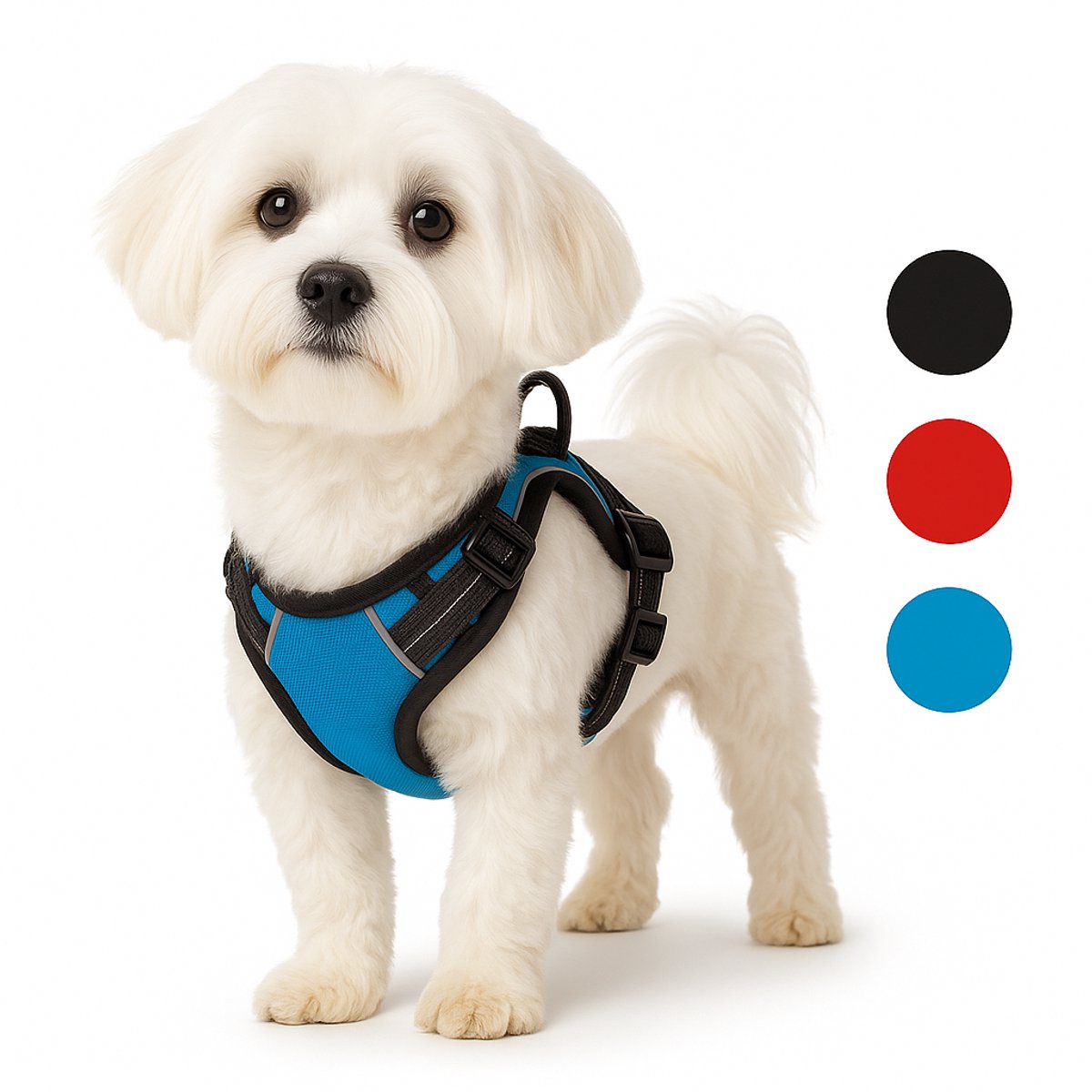 Flamingo Hundegeschirr – Hundegeschirr – Hundegeschirr Anti-Pull – Hundegeschirre – Hundegeschirr Anti-Pull – Balou – Blau – Größe S – A: 31–55 cm, B: 40–55 cm