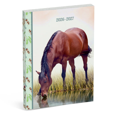 Amazon Schulkalender International – braunes Pferd