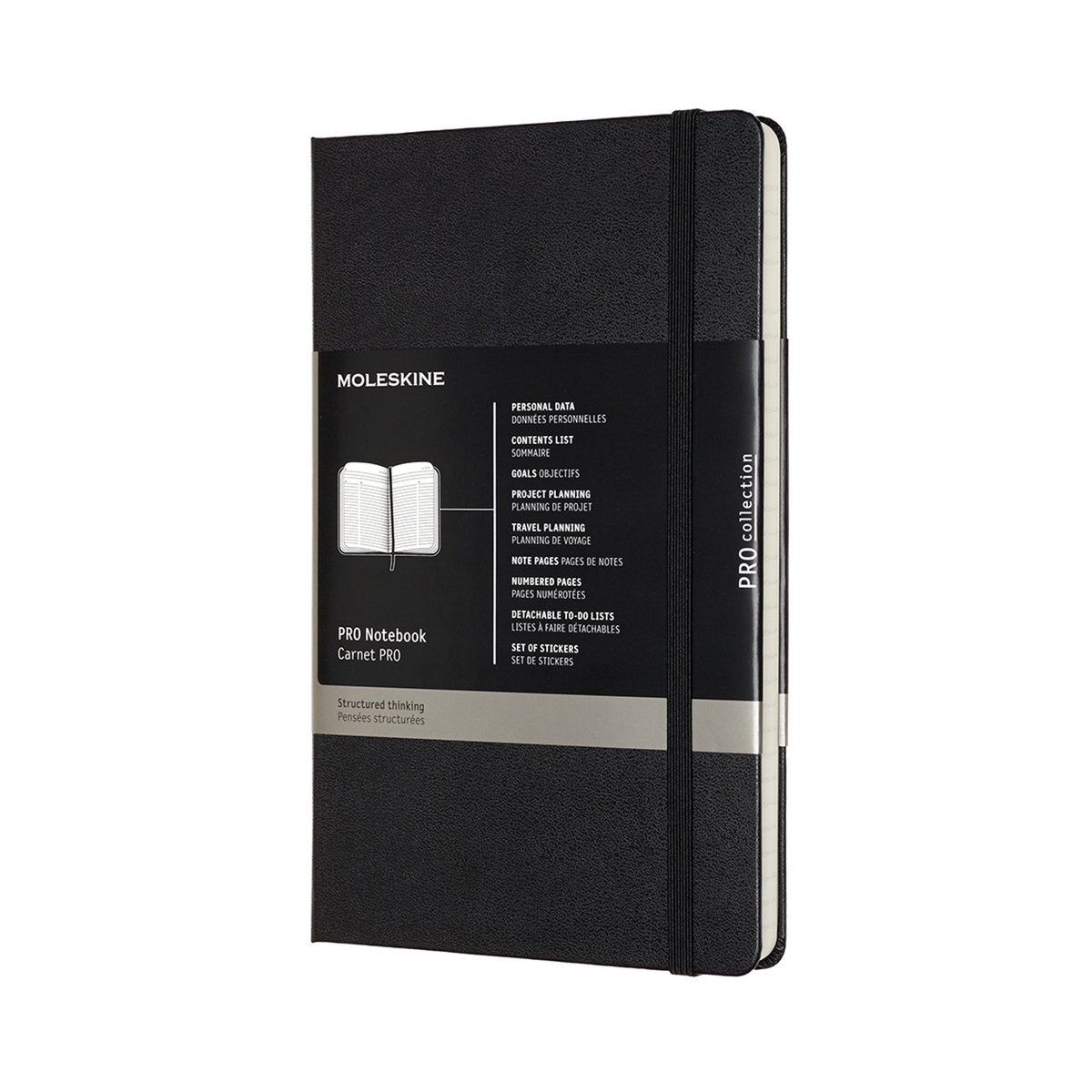 Professionelles Moleskine-Notizbuch – groß – Hardcover – schwarz