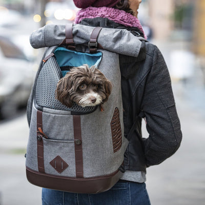 Kurgo Kurgo Rucksack grau braun