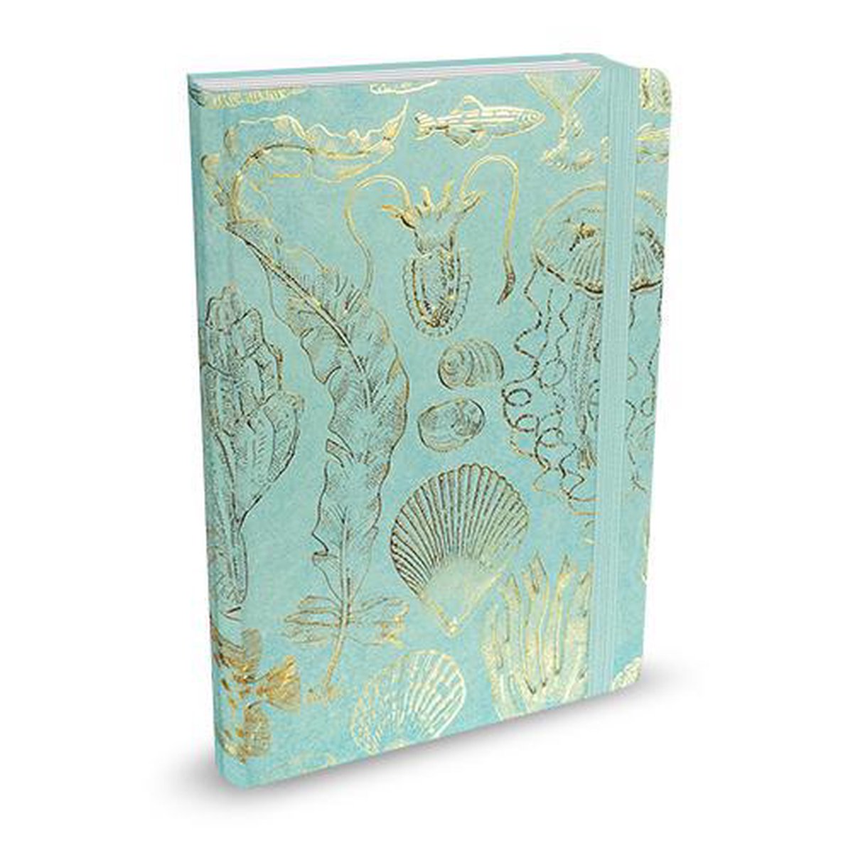 Peter Pauper mittelgroßes Notizbuch – Sealife-Skizzen – mit elastischem Verschluss – 16 x 21 cm