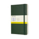 Klassisches Moleskine-Notizbuch – groß – Hardcover – kariert – Myrtengrün