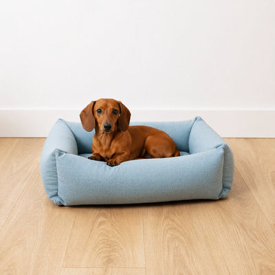 D d home - Eden Hundebett - wasserabweisender waschbarer Bezug - Ozean - klein 70x60x20cm