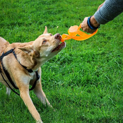 Bionischer Toss-and-Tug-Ring 23 cm orange