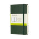 Moleskine klassisches Notizbuch – Tasche – Hardcover – leer – Myrtengrün
