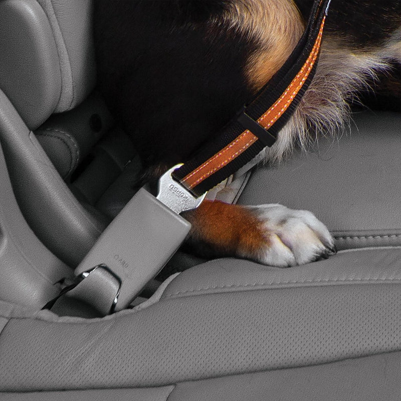 Kurgo Hunde-Sicherheitsgurtschlaufe – Sicherheitsgurt mit Karabiner – passt an jeden Autogurt – Schwarzgrau