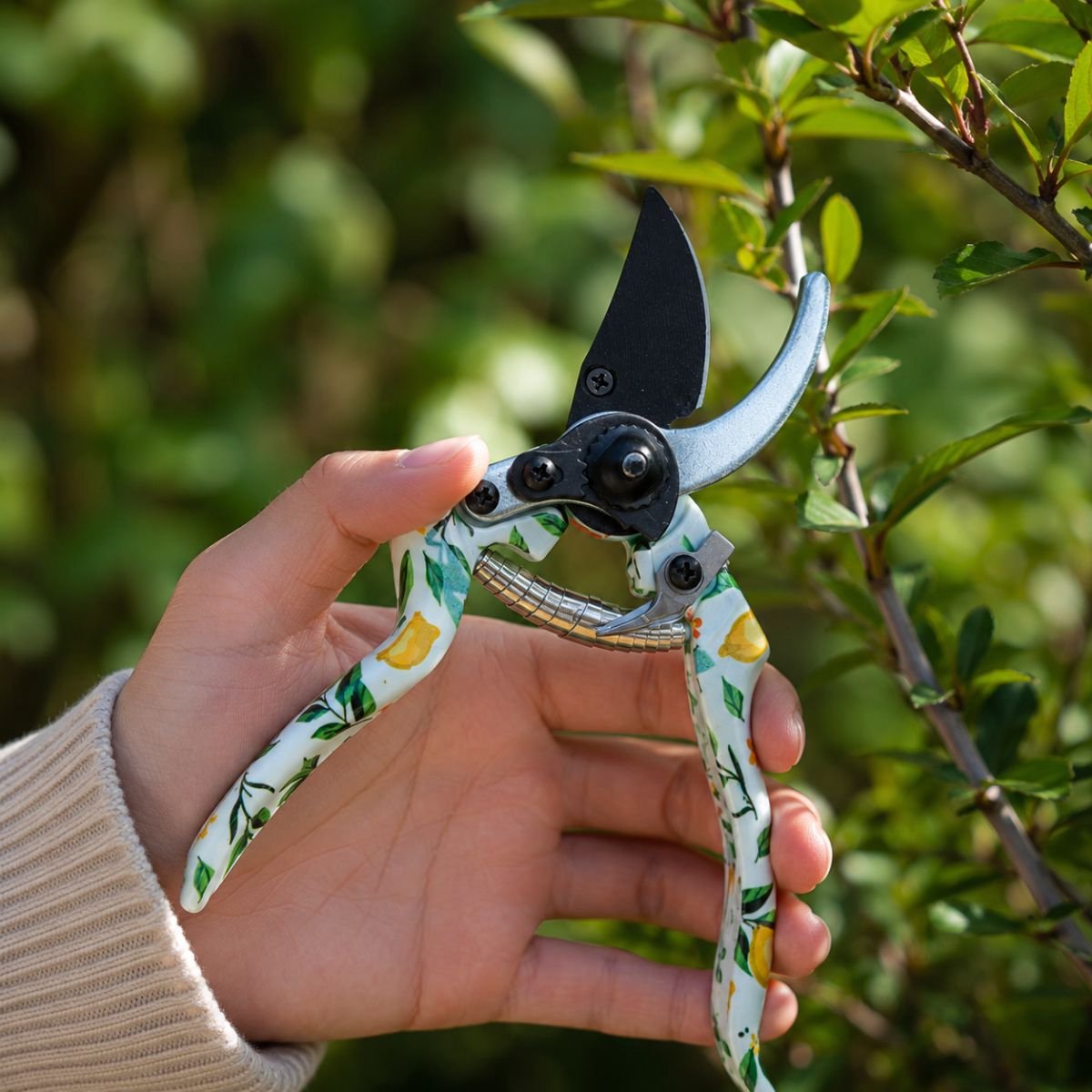 Kinzo-Gartenschere 22 cm mit maximaler Schnittkapazität 5 mm – Gartenschere für Blumen und Pflanzen – Hand-Gartenschere mit Sicherheitsverriegelung