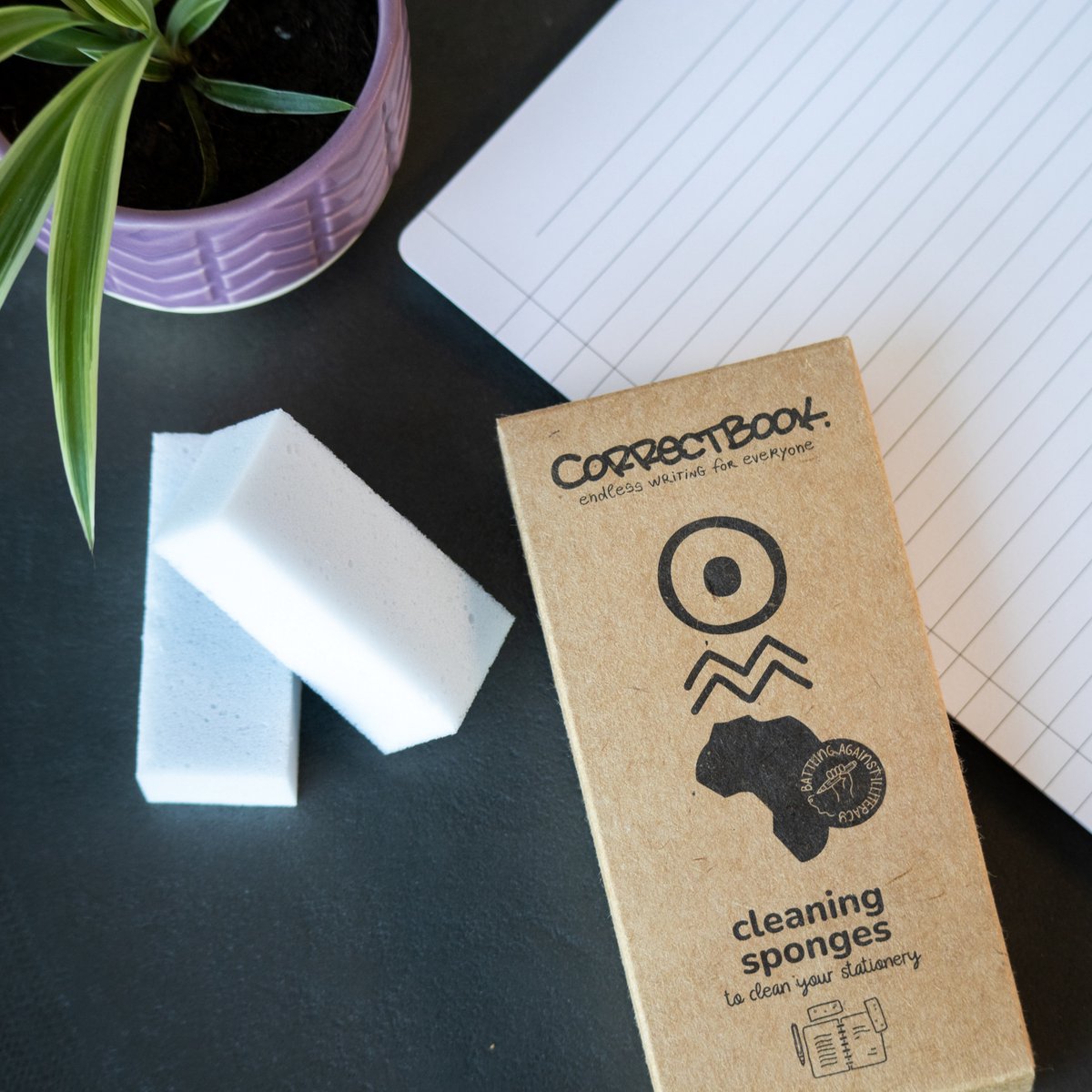 Correctbook-Reinigungsschwämme