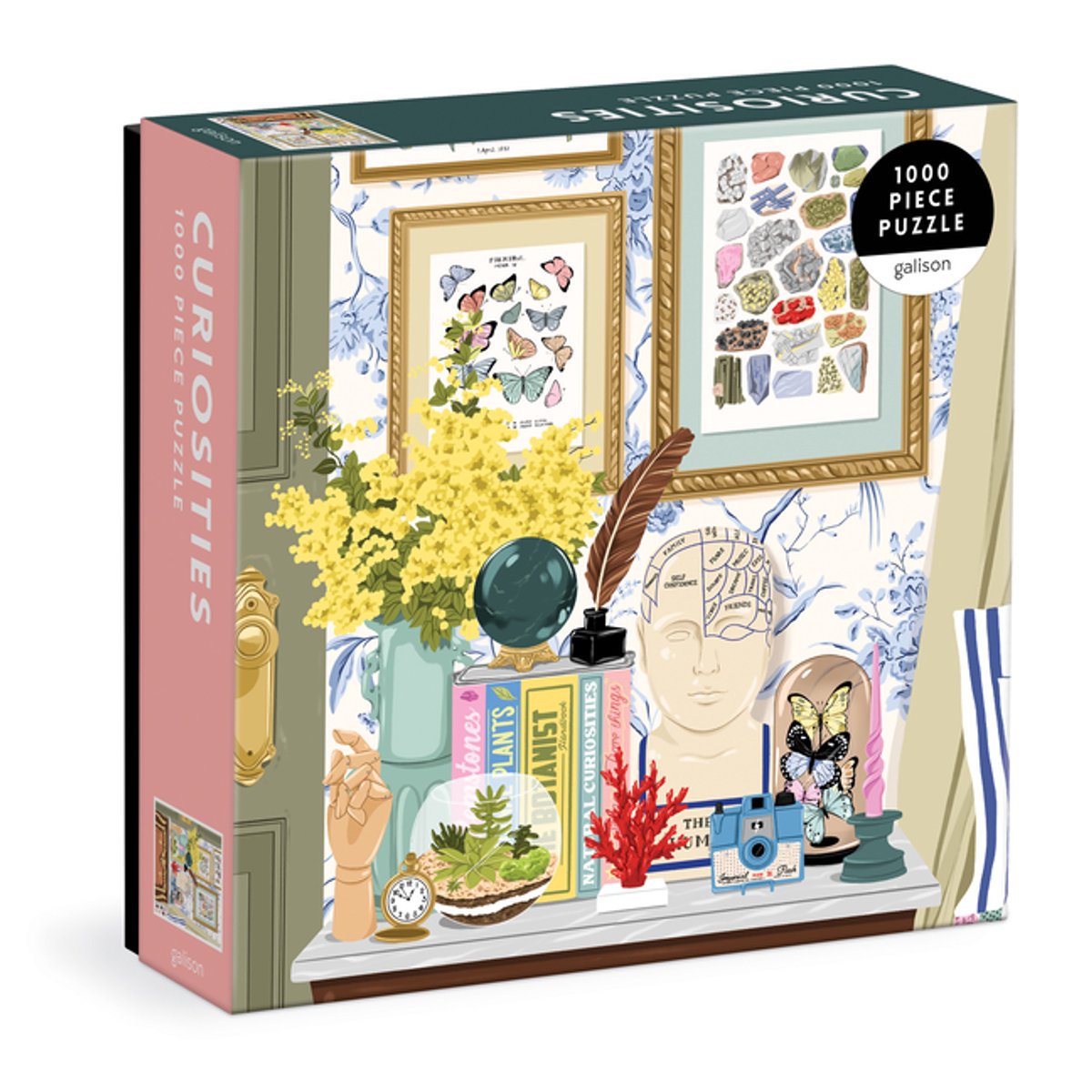 Kuriositäten 1000-teiliges Puzzle in quadratischer Box