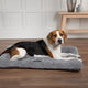 Scruffs gemütliches Bankkissen – weiches Hundekissen – rutschfest – Wildlederimitat – Grau – XL – 120 x 75 cm