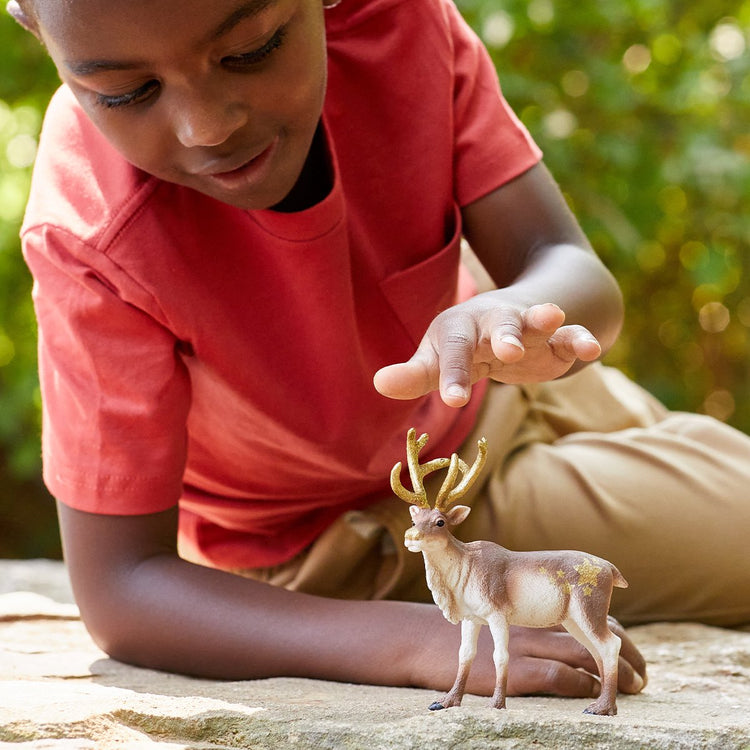 Schleich Wild Life – Rentier – Spielfigur – Kinderspielzeug für Jungen und Mädchen – 3 bis 8 Jahre – 14837