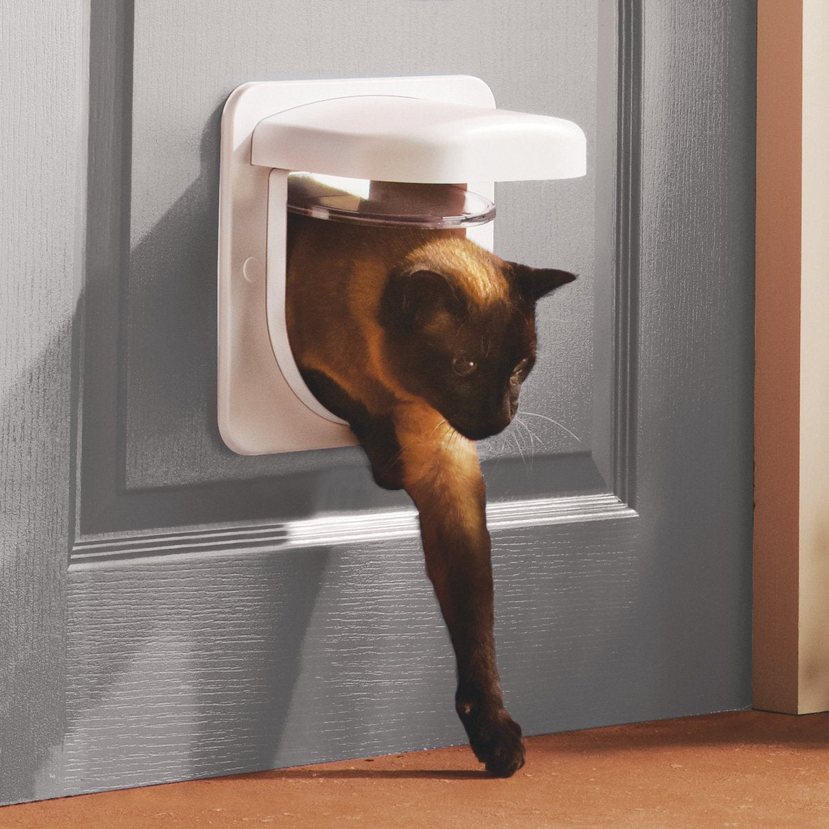 Petsafe Petporte Smart Flap – Katzenklappe – Weiß – 15,9 x 24,1 x 23,8 cm