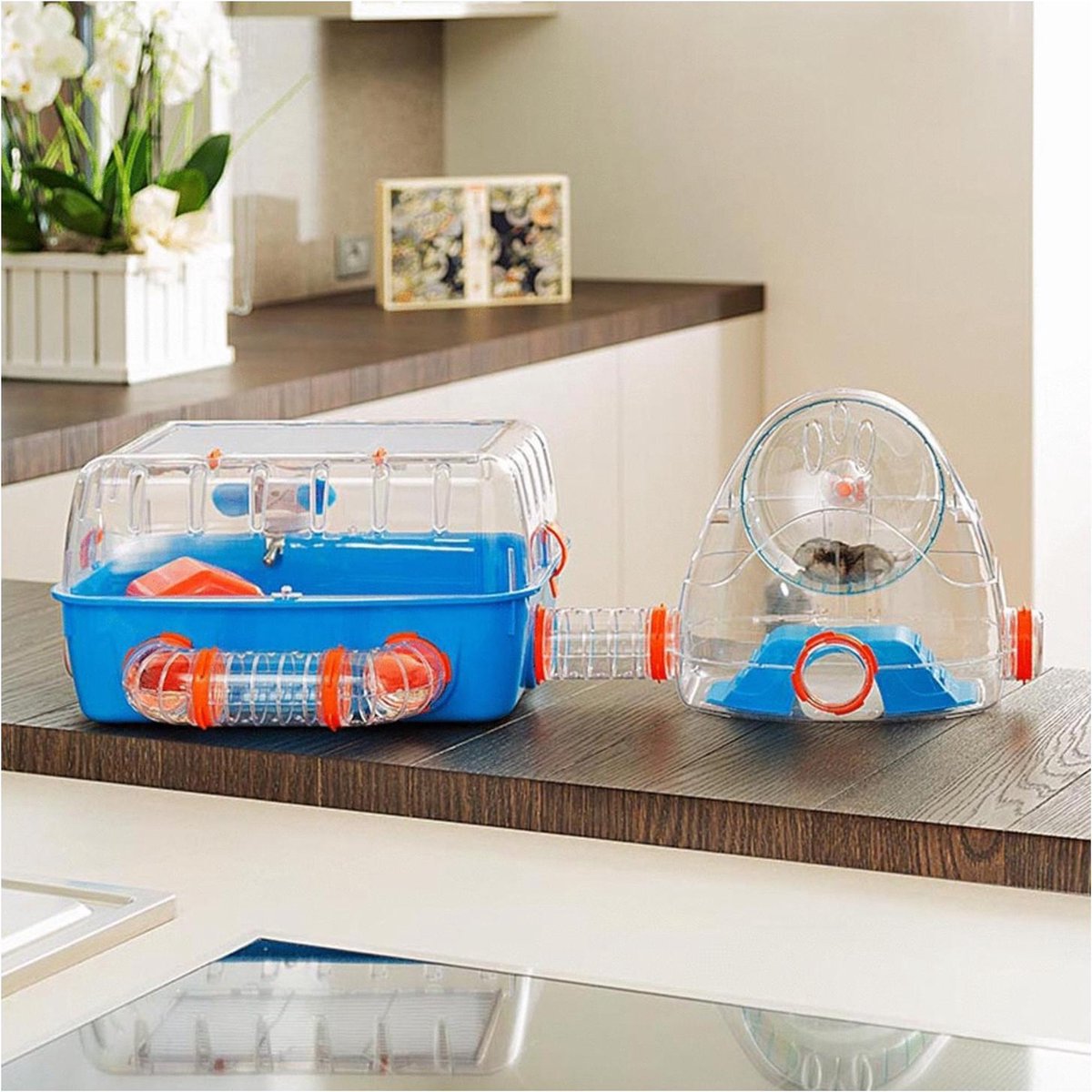 Ferplast Combi 2 Hamsterkäfig – Blau – 79,5 x 29,5 x 26,3 cm