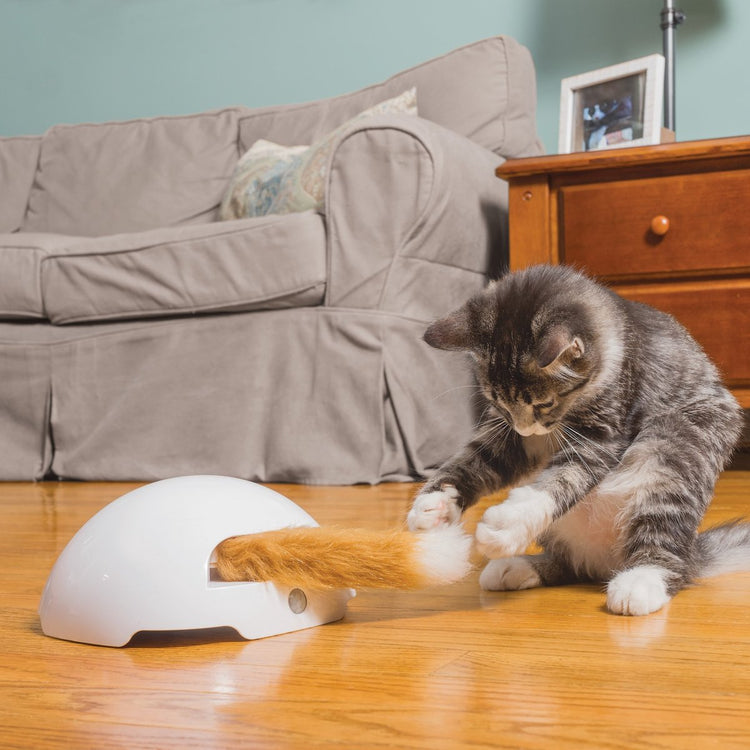 Petsafe Frolicat Fuchshöhle – automatisches Katzenspielzeug – Katzenspielzeug
