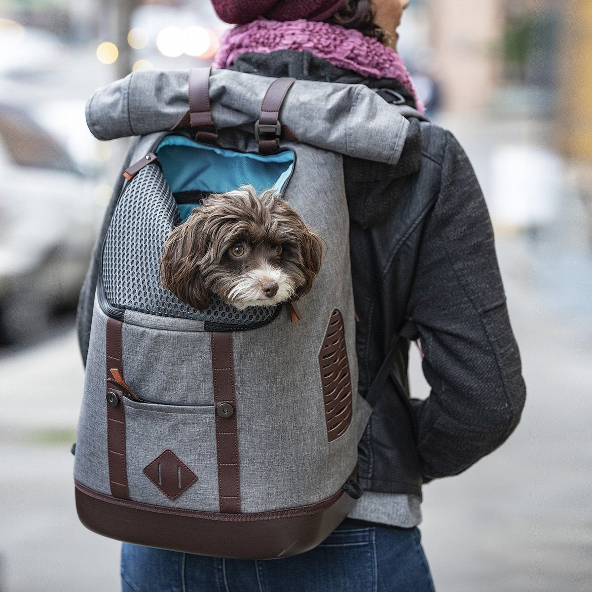 Kurgo Kurgo Rucksack grau braun