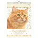 Franciens Katzen-Geburtstagskalender Jeroen – A4