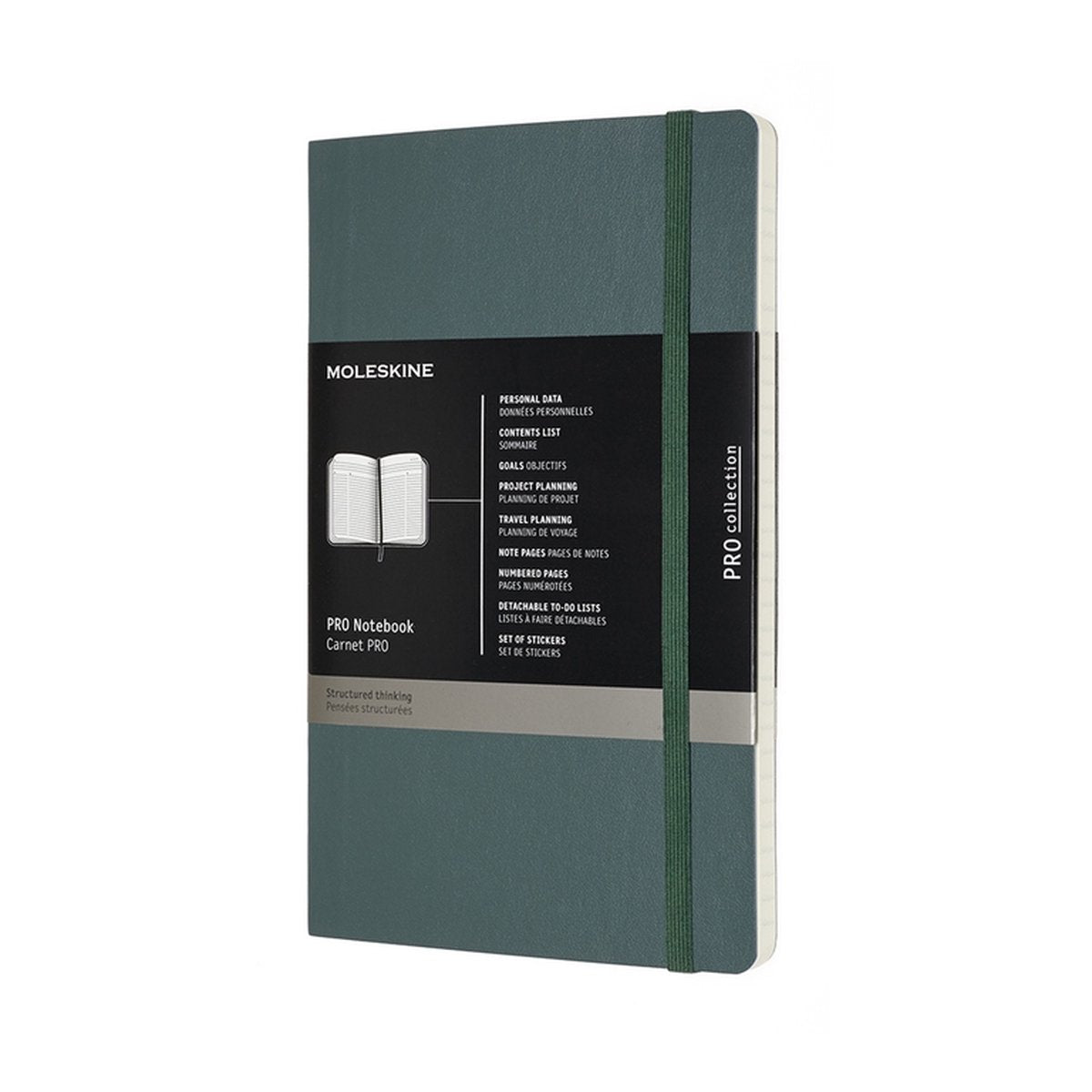Professionelles Moleskine-Notizbuch – groß – Softcover – Waldgrün