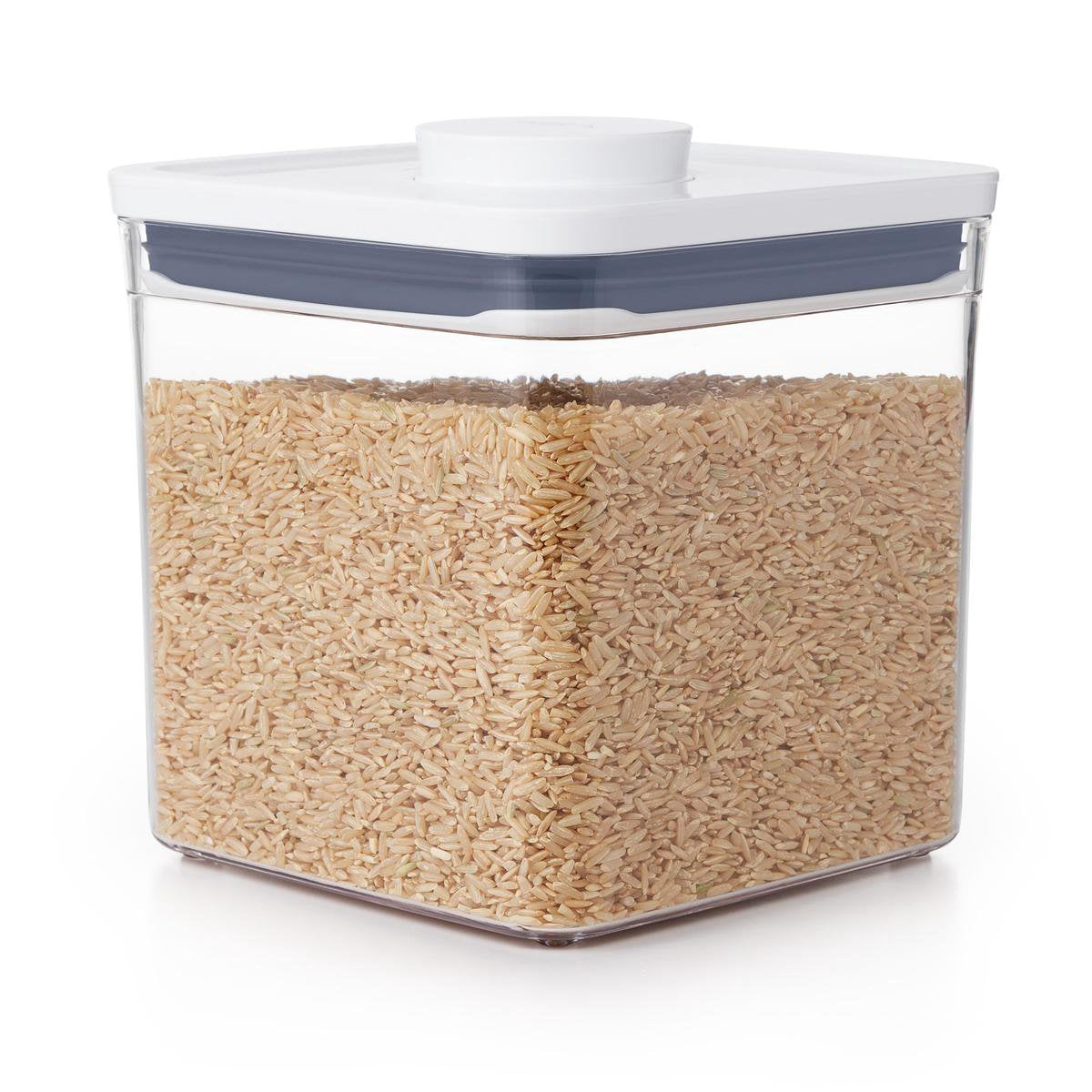 Oxo - Pop-Aufbewahrungsbehälter - groß - niedrig - 2,6 Liter