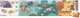 Janod – WWF – Puzzle 4 Jahreszeiten – 36 Teile