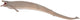 Collecta Figur - Basilosaurus - (XL) - Vorgeschichte - handbemalt - Miniatur