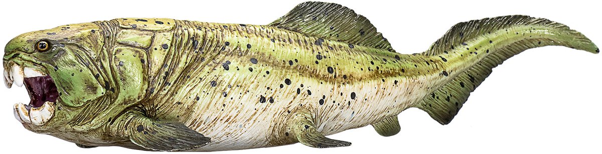 Mojo Vorgeschichte Dunkleosteus 387374