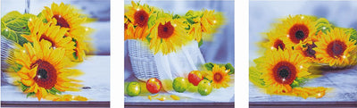 Diamond Dotz® Diamond Dotz dd14.001, Original 5D Diamond Painting Set Sonnenblumentage, Bastelpaket mit 28.144 runden Steinen, Dotz für Erwachsene, Hobbypaket ca. 142 x 42 cm für Kinder ab 8 Jahren