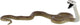 Bullyland schwarze Mamba (68487)