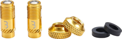 BBB Cycling CoreCap – Universal-Ventil-Upgrade-Set – 300 % mehr Luftstrom – passend für alle Pumpen – Presta- bis Schrader-Format – 2 Stück – Gold – BTI-165