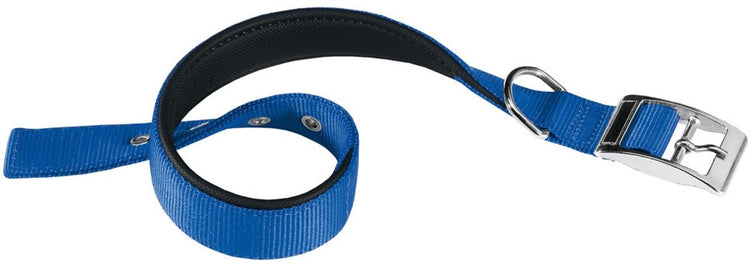 Ferplast Hundehalsband Daytona 53 x 2,5 cm Stahl Nylon blau