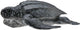 Collecta Figur - Lederschildkröte - (m) - Meerestiere - handbemalt - Miniatur