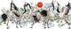 Diamond dotz® Diamond Painting Erwachsene – runde Steine – Komplettpaket – Hobby – – dd8.011 – Tiere – Vogeltanz 77 x 32 cm