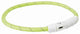 Trixie Kragen Hund Flash Light Collar USB TPU Nylon Green