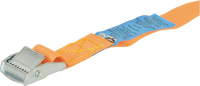 Carpoint Spanngurt mit Schnalle 25 mm x 5 Meter 250 kg – Orange