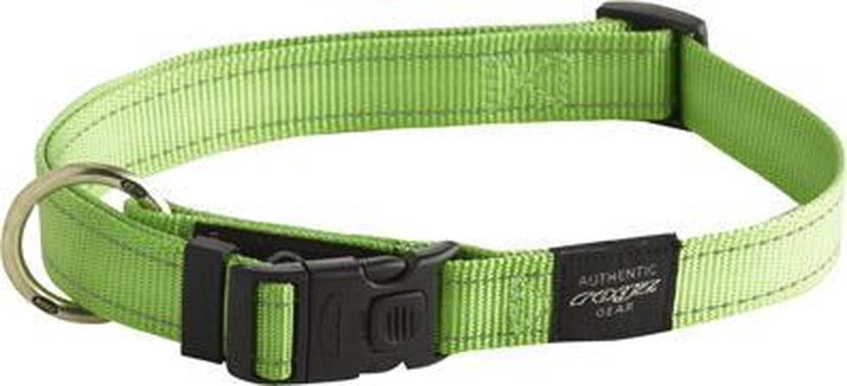 Rogz für Hunde Keilriemenhalsband Limette 20 mm x 34–56 cm