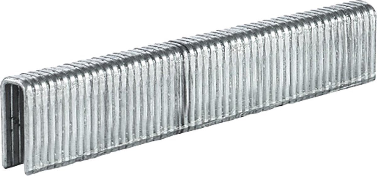 Einhell Staples 5,7 x 13 mm, 3000 Stück