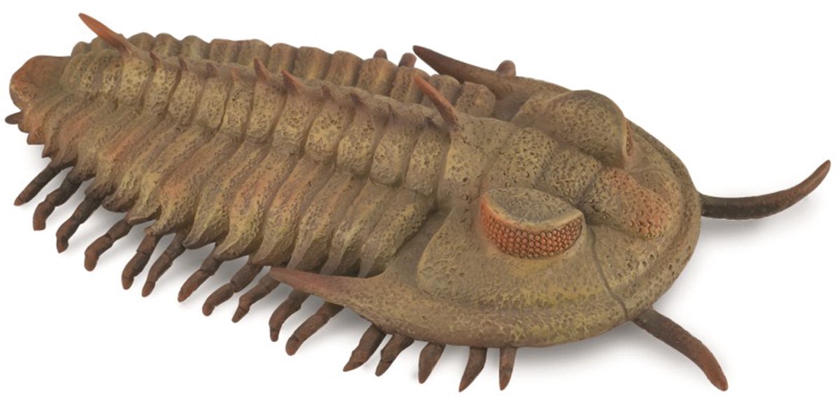 Collecta-Figur – Redlichia Rex Trilobit – (l) – Vorgeschichte – handbemalt – Miniatur