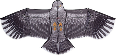 Drachenfliegendrachen - Adler - Schwarzgrau - 180 x 80 cm - ab 6 Jahren
