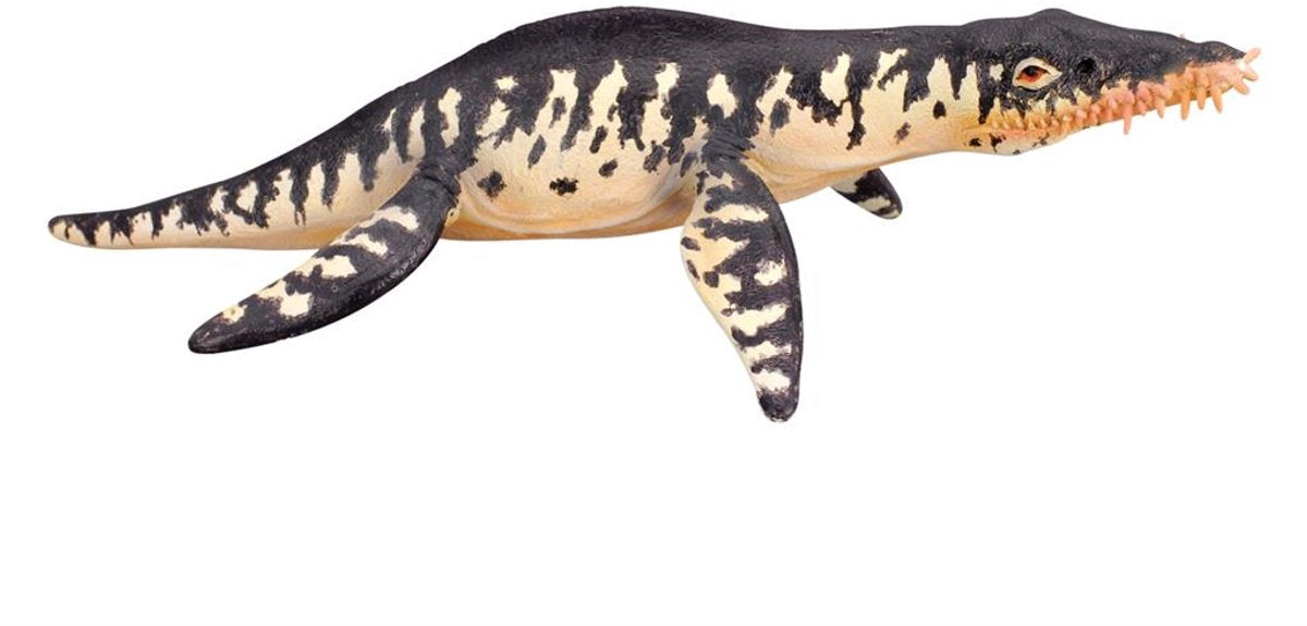 Collecta-Figur – Liopleurodon – (l) – Vorgeschichte – handbemalt – Miniatur