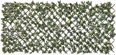 Nature Nature Latwerk mit kalifornischem Ligustergrün und gelb 90x180 cm