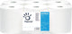 Papernet Papierhandtücher Maxi-Centerfeed | 2-lagig | 108m | 450 Blatt | Packung mit 6 Rollen