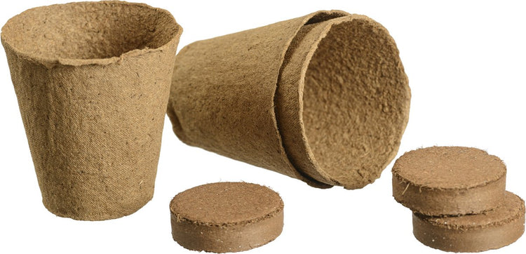 Nature - Biotopf H8 x ø8cm + Kokostablette (3 Stk.) - Schneidetopf - biologisch abbaubar