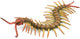 Collecta Figur - Tausendfüßler - (l) - Insekten - handbemalt - Miniatur