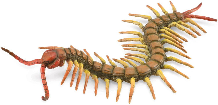 Collecta Figur - Tausendfüßler - (l) - Insekten - handbemalt - Miniatur