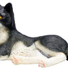Mojo Ackerland Lüge Katze Schwarz und Weiß 387367