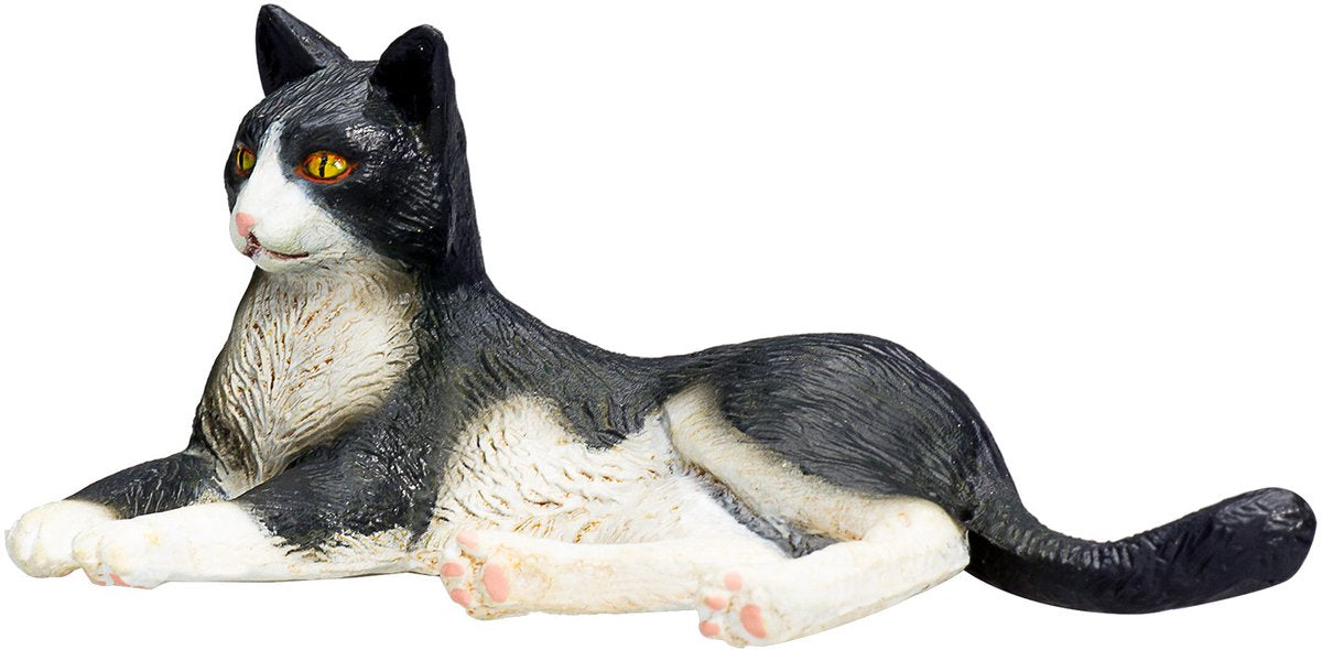 Mojo Ackerland Lüge Katze Schwarz und Weiß 387367