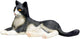 Mojo Ackerland Lüge Katze Schwarz und Weiß 387367